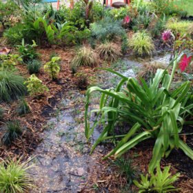 blog post picture of a beautiful garden ditch for improved garden drainage