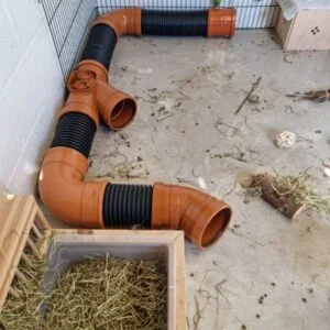 product picture of rabbit tunnel burrow pipe pet tunnel showing the set up outside