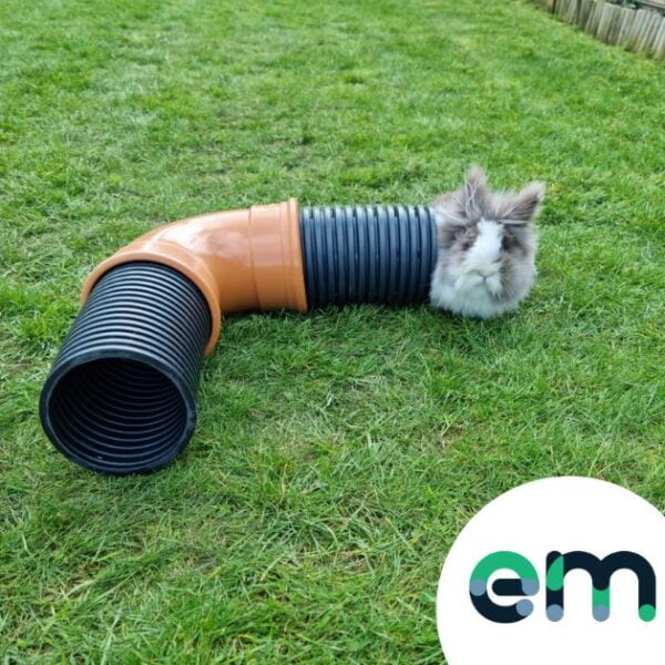photograph of rabbit coming out of rabbit tunnel burrow pipe