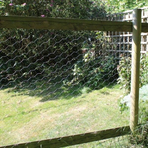 gallery image of chicken wire mesh in garden