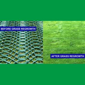 gallery image of grass reinforcement mesh before and after growth