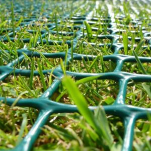 gallery image of turf reinforcement mesh on grass